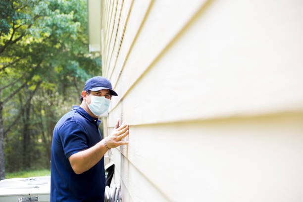 Best Custom Siding Design  in Macon, GA